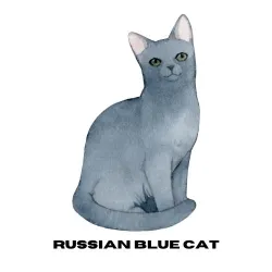 Russian Blue Cat LOGO